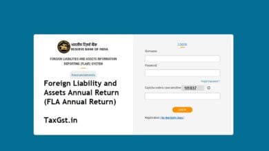 Foreign Liability and Assets Annual Return (FLA Annual Return)