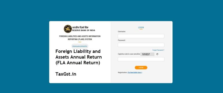 Foreign Liability and Assets Annual Return (FLA Annual Return)