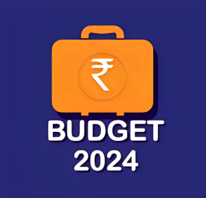 Interim Budget 2024-2025